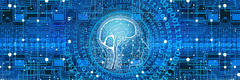 Universities, Chat-GPT, and wider societal AI concerns.